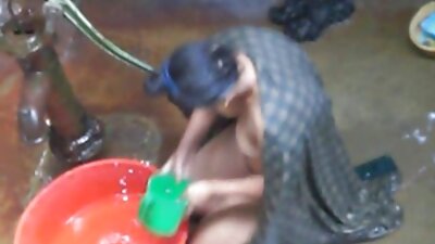 කෑදර Jayne සඳහා කුකුළා පැණිරස විවිධත්වය